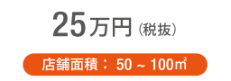 25万円(税抜)
